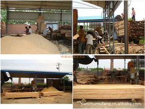 上海旬勒建材 木材加工與建筑材料的專業服務商