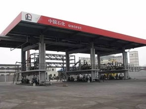 天津財富聚焦 揭秘日用百貨領域最有錢的企業