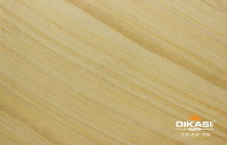 衡陽市藝術涂料招商加盟新機遇 認準帝卡斯，品質直銷，信賴之選